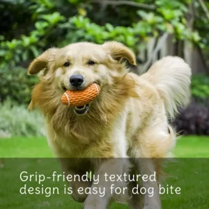 Benepaw Durable Squeaky Rubber Ball For Dogs Teething Stress Relief Interactive Nontoxic Bouncy Pet Chew Toys Floatable Play