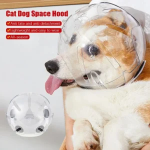 Transparent Dog Stop Barking Muzzle Anti-Bite Stop Barking Cat Dog Space Hood Breathable Pet Grooming Accessories