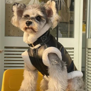 Pet Autumn Winter Velvet Sleeveless Vest Fur One-piece Coat Teddy Schnauzer Bichon Dog Thick VestPuppy Clothes for Small Dogs