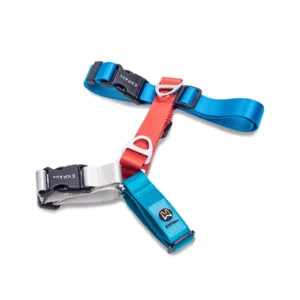 Adjustable Nylon Dog Harness Fashion Chest Vest No Pull Pet Puppy Harness for Small Medium Large Dogs Corgi Dog Supplies