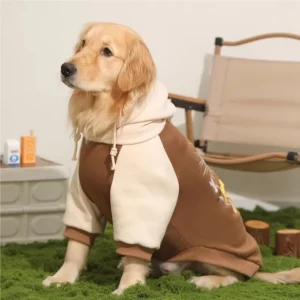 The latest winter warm dog clothing for Labrador, Golden Retriever, Teddy and large dogs