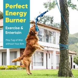 Benepaw Bungee Dog Toys Interactive Exercise Spring Pole Tug Of War Pet Tree Tug Toy Durable Rope Muscle Builder Reduce Boredom